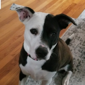 Fundraising Page: Mary Barry